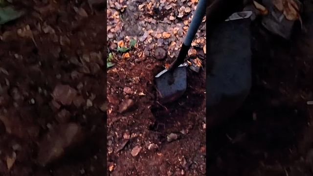 Хороший сигнал металлоискателя 🤣