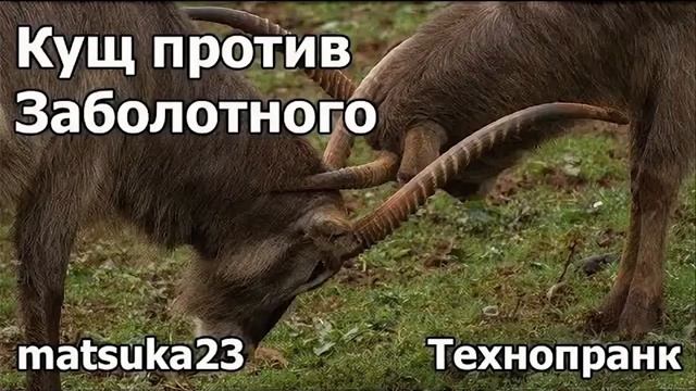 Кущ против Заболотного  Технопранк от Matsuka23