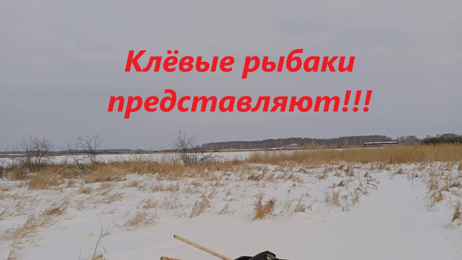 Выходной,мороз,курица гриль. — сделано в Clipchamp