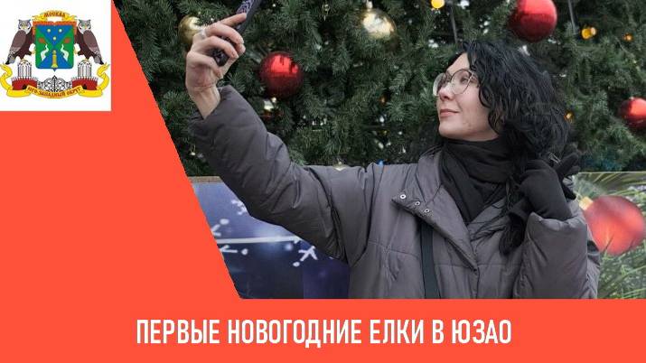 Первые новогодние елки в ЮЗАО