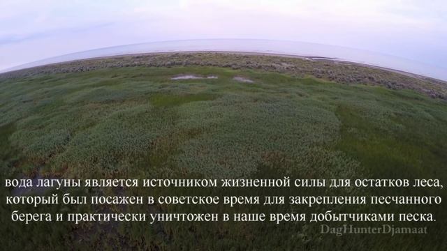 "Муравейник" устье реки кривая балка