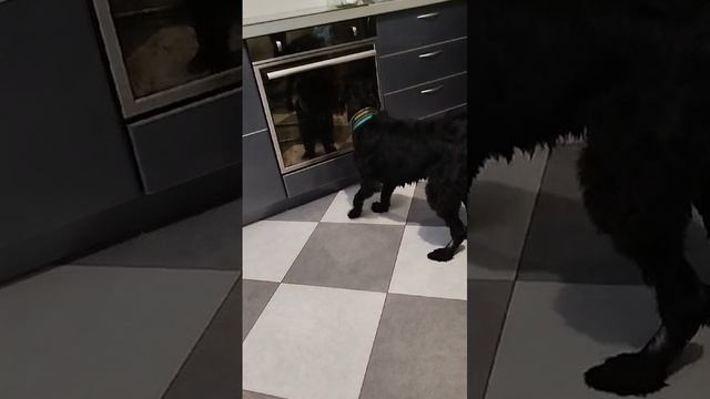 1000047821.mp4