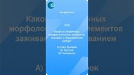 Квиз 23 (30.12)
