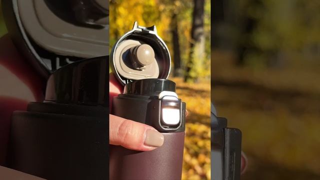 Термос TalleR TR-22423 Брис 0,5 л. Обзор и технические характеристики.