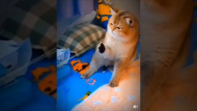 Кавер на Nothing else matters
