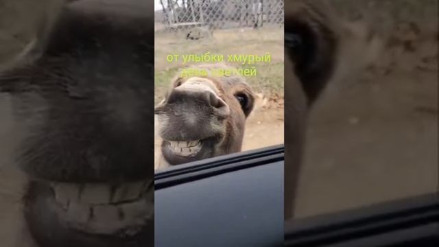 1000066523.mp4