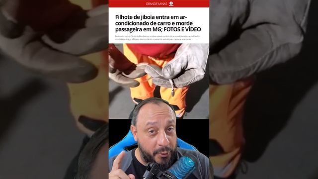 Filhote de jiboia entra em ar-condicionado de carro e morde passageira em MG? Será?