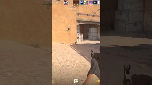 Zeus24120204