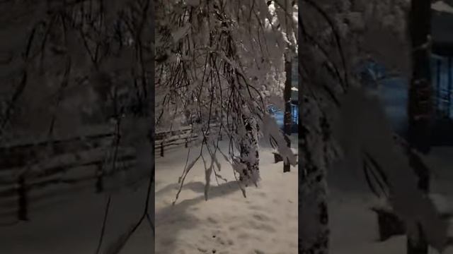 서울 눈폭탄 117년 만에 30센치 폭설 속 걷기, SEOUL HEAVY SNOWFALL 300mm.