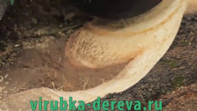 удаление пней