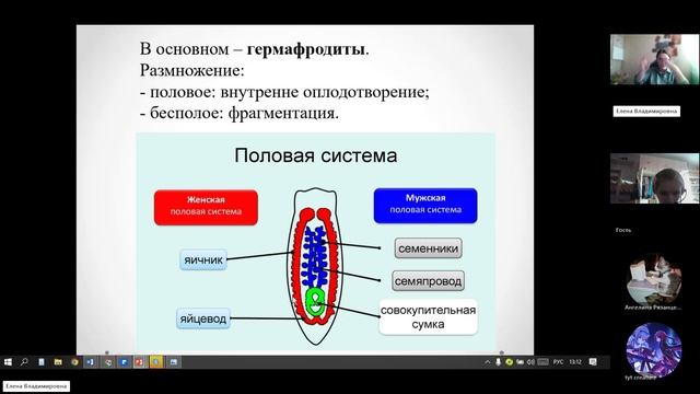 8 класс_2.12_8_Черви