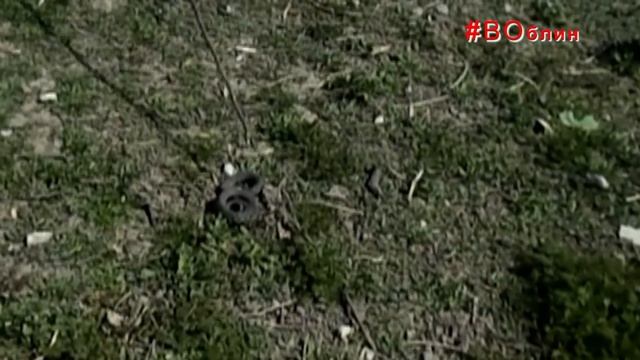Владимир Марус: Змея, весна и дураки