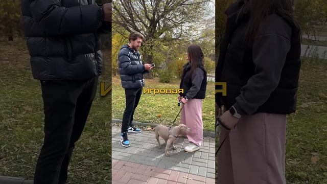 Самый Популярный Ролик на YouTube