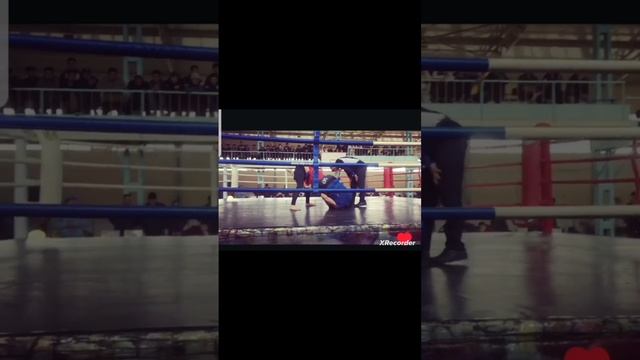 бой без правил