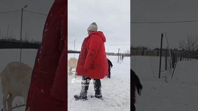 Деревенский показ мод  работница месяца