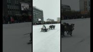 2024-12-03-073508547.mp4 Елена Дружиненко Воркута, заряжено энергией изобилия!!!