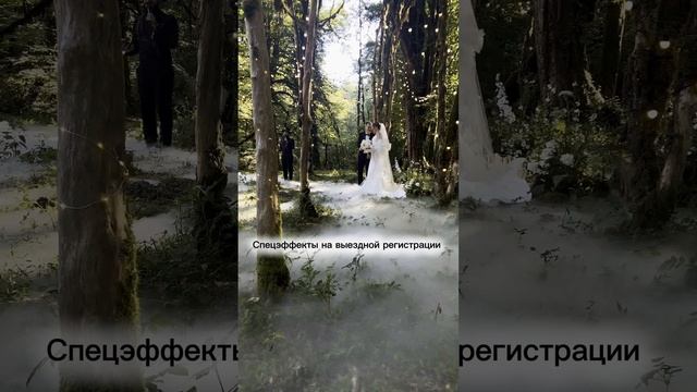Выездная регистрация брака #shorts