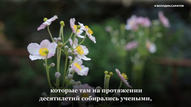 Володин: в саратовском Ботаническом саду будут отремонтированы постройки и сохранены все растения