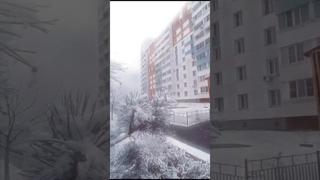 Как же зима красива.❄🌟