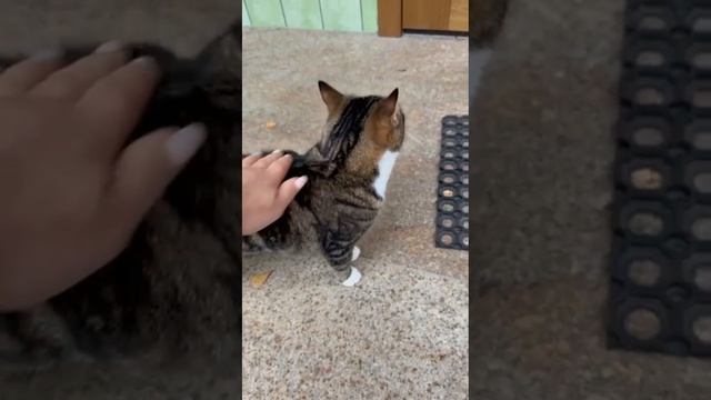 1000007566.mp4