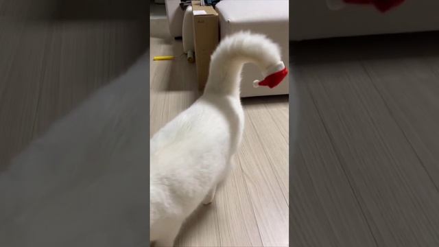 Как вам такой Дедушка Мороз)))