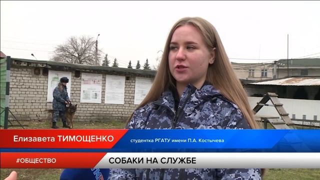 Щенки на службе