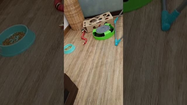 VID20241203132309