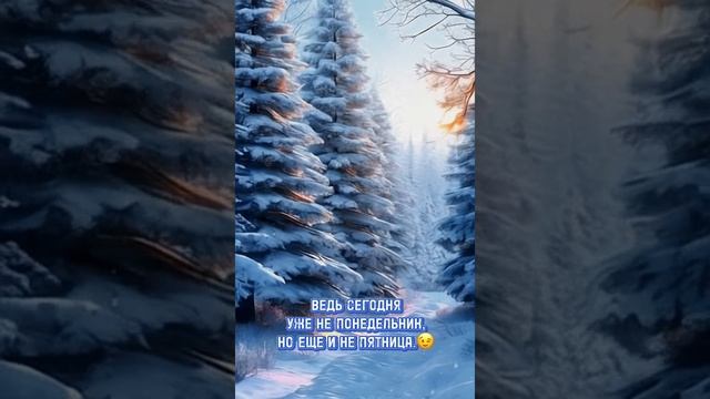 СРЕДА —ПРЕКРАСНЫЙ ДЕНЬ,ЧТОБЫ НАЧАТЬ НАКОНЕЦ-ТО РАБОТАТЬ! #видеоролики