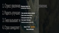 Шокирующая правда о том, как эмоции влияют на ваше тело #эмоции #здоровье #психология