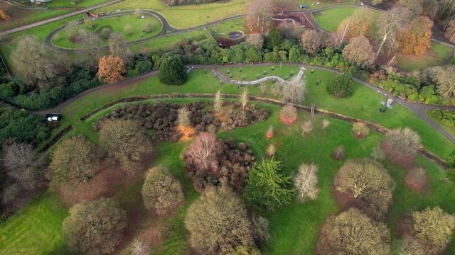 Temple Newsam 03.12.2024