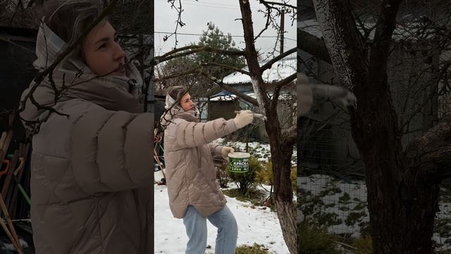 Как подготовить участок к зиме?