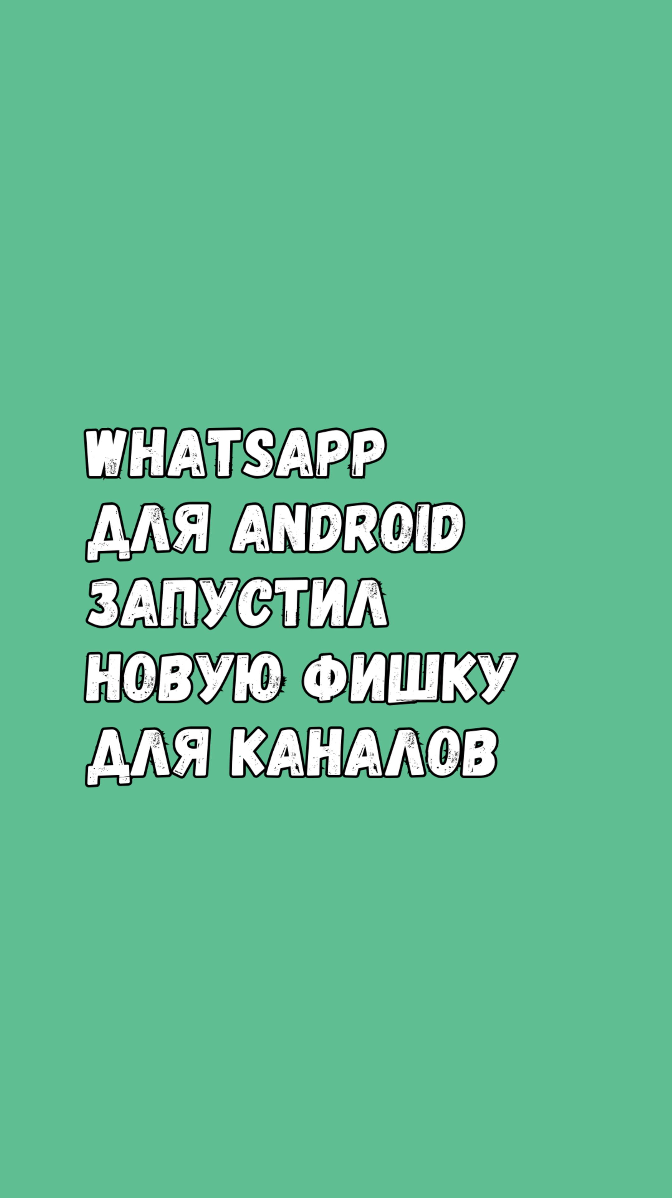 WhatsApp Для Android Запустил Новую Фишку Для Каналов