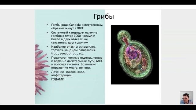 Вебинар Современные подходы в лечении аллергии. Роль кишечного барьера