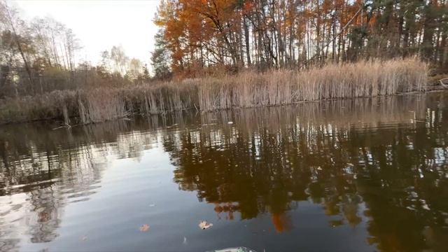48-Часов на рыбалке. Ловля щуки и карпа на кружки. В лесных заливах
