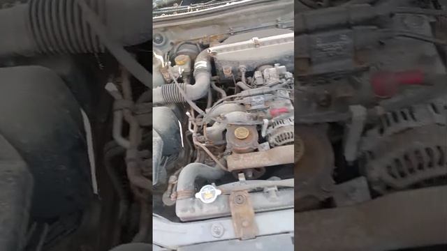 VIDEO-2024-04-01-10-28-09