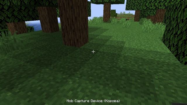 Мод на Майнкрафт 1.16.5 (Miecraft Java) на сачок и бабочек