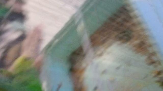 1000051908.mp4
