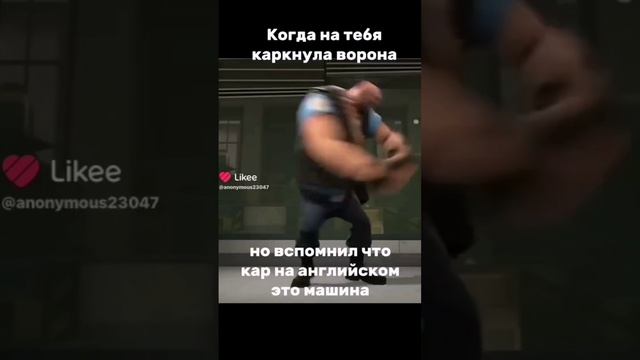 scene_output.mp4