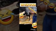 4579b0921013d6bbf9ae3e03bc92f851_1732810398003.mp4