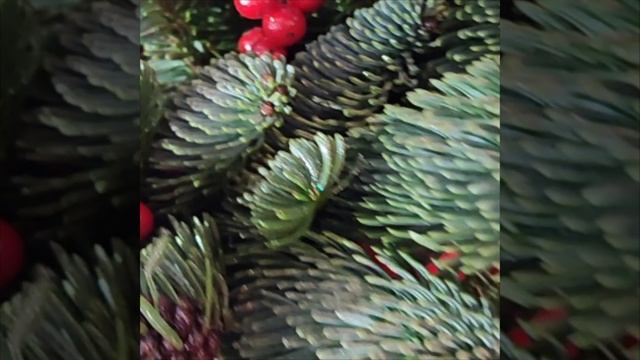 document_5364088001477501157