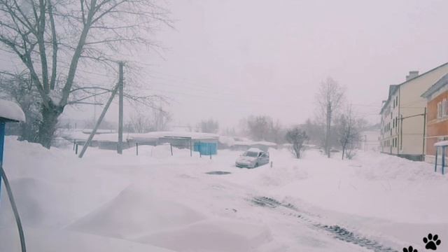 Циклон Ольга завалила немного снегом.