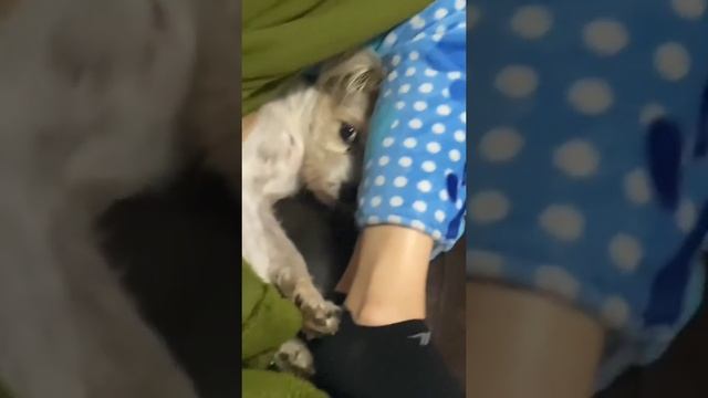 Не мешай спать