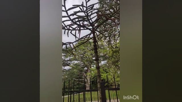 Крым
