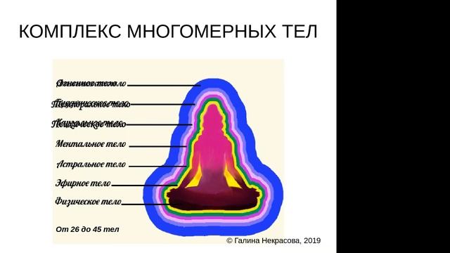 Я - Человек