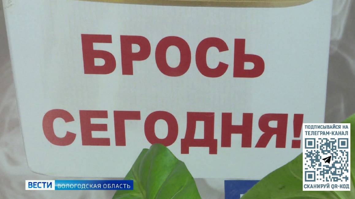 Активная борьба с никотиновой зависимостью продолжается в Вологодской области