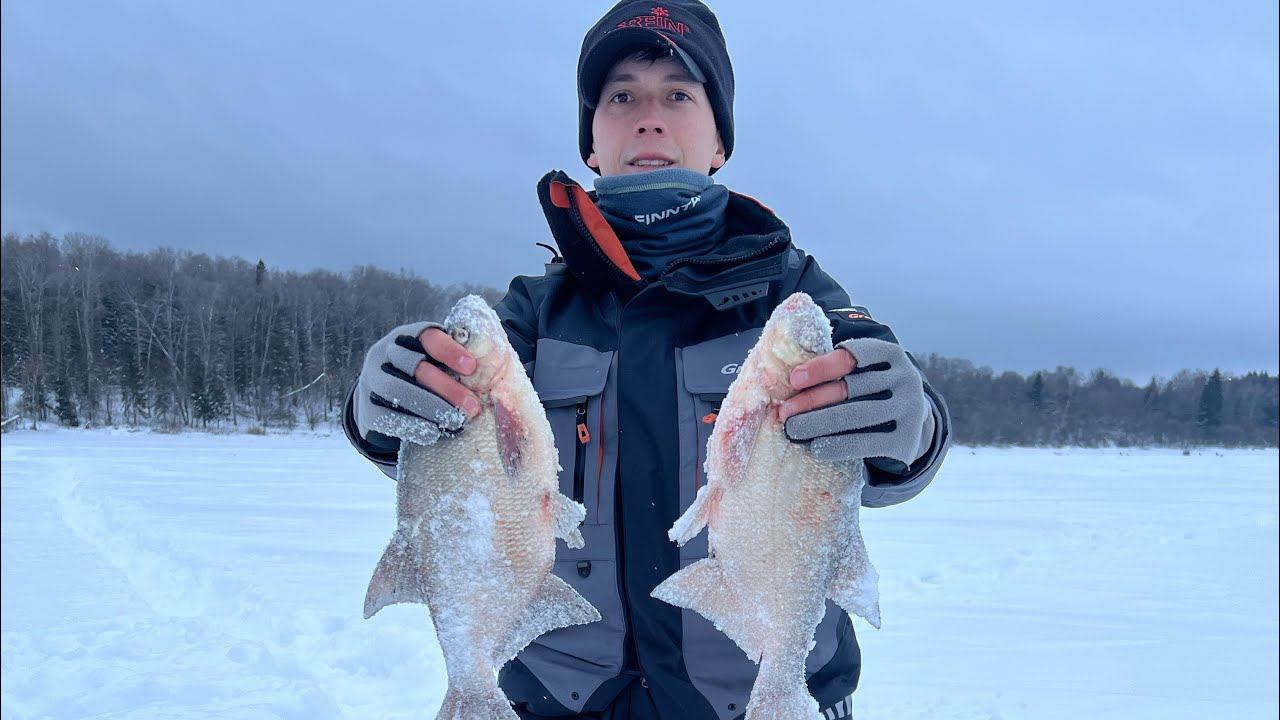 Рузское водохранилище. ЛОВЛЯ ЛЕЩА НА БЕЗМОТЫЛКУ.