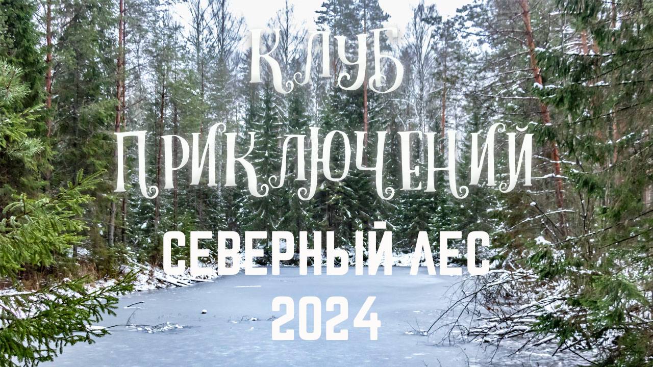 Северный лес 2024г