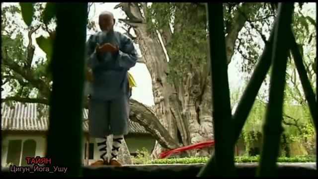 Мягкое и гибкое живёт, твёрдое и жёсткое погибает...