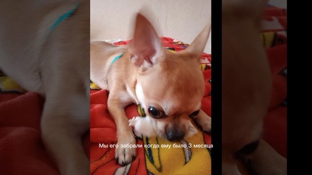 Pablo
