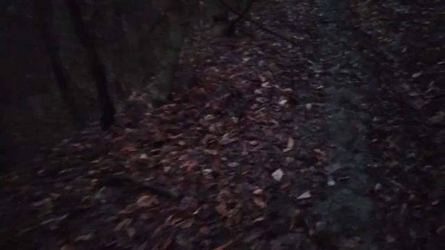 Самая длинная охота с лайками. Шах и Пуля охотятся 8 суток. Февральские подснежники.